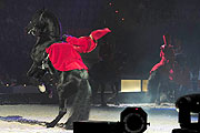 Apassionata "Sehnsucht" in der Olympiahalle (Foto: Ingrid Grossmann)